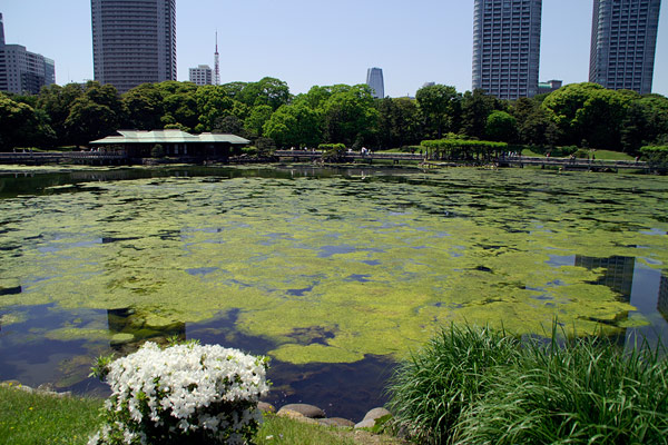 浜離宮恩賜庭園