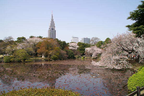 Vh䉑